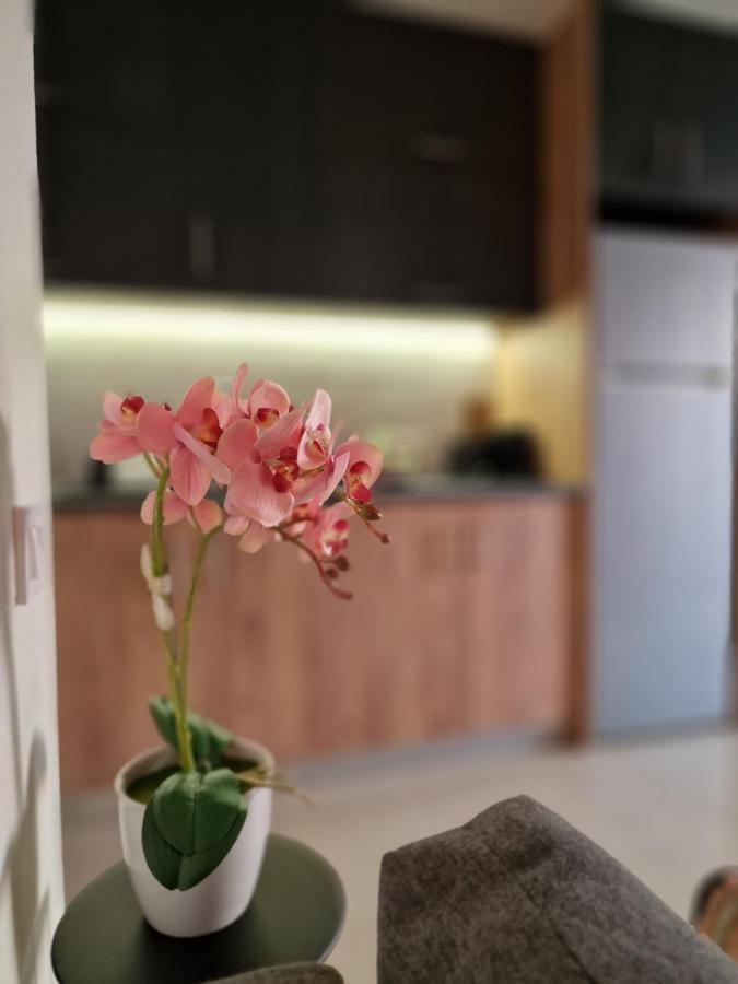 S N G/ Best View Apartment Kíssamos Екстериор снимка